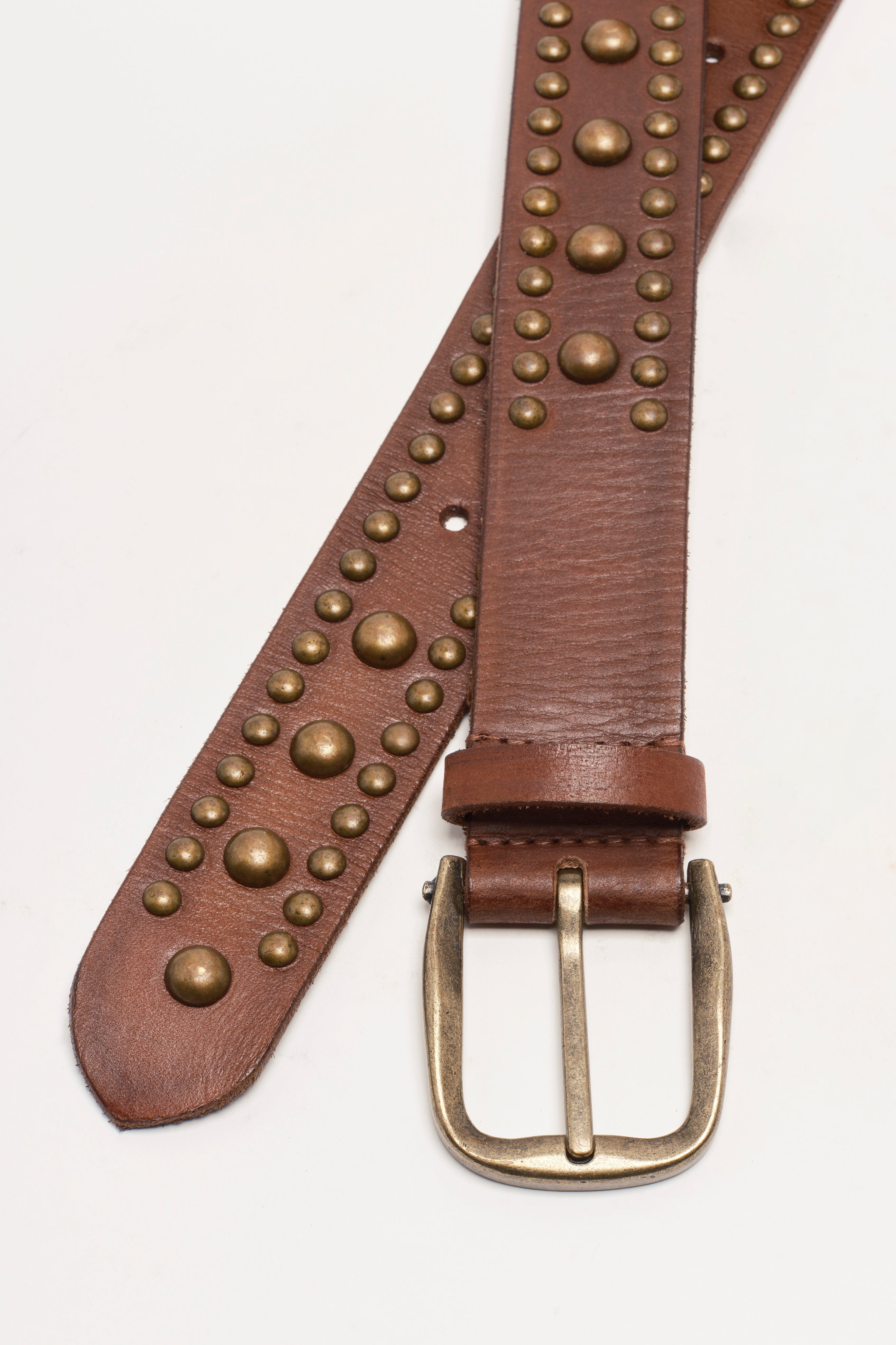 We The Free Sola Stud Belt (Cognac) - Free People