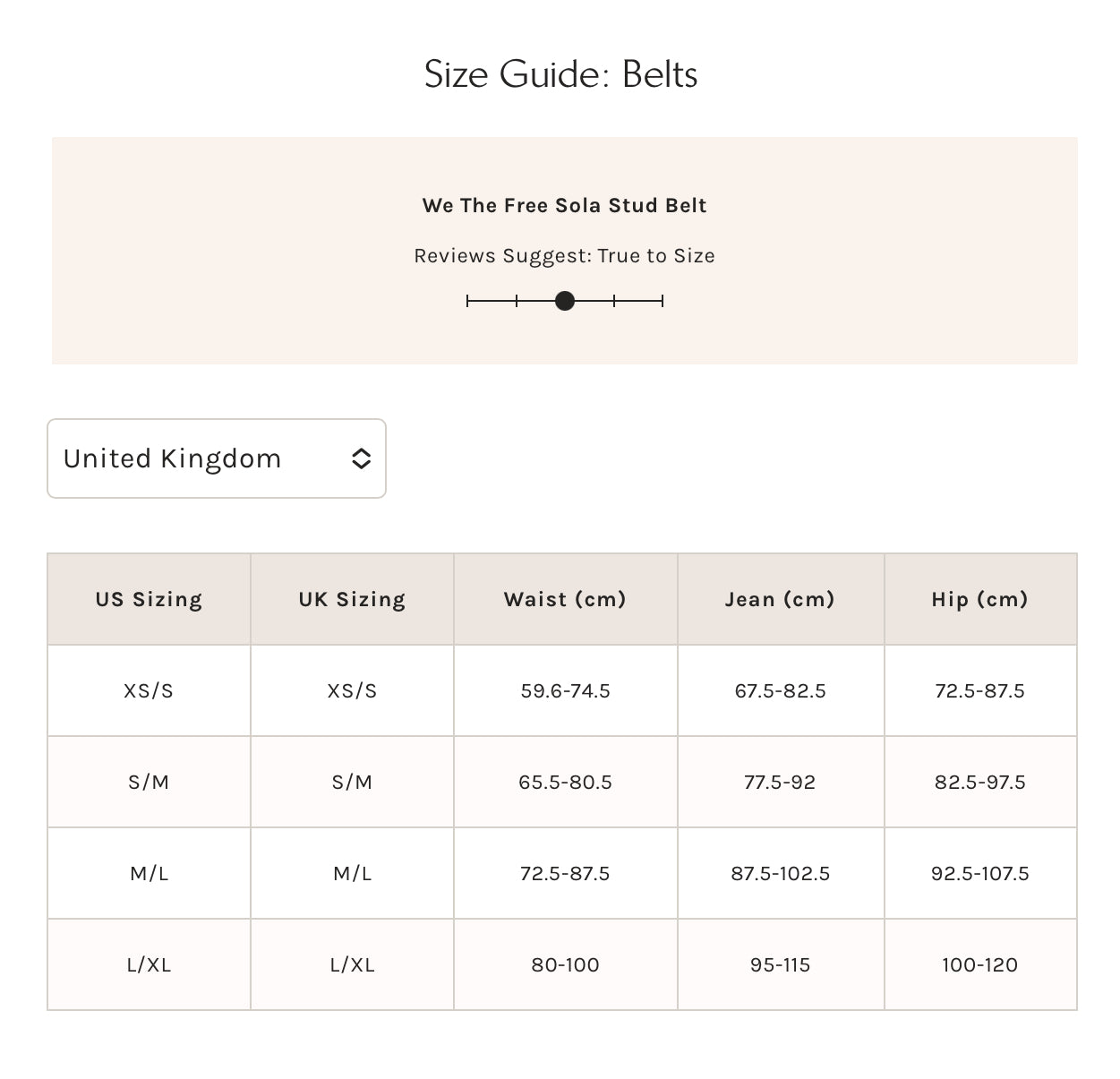 We The Free Sola Stud Belt (Cognac) - Free People
